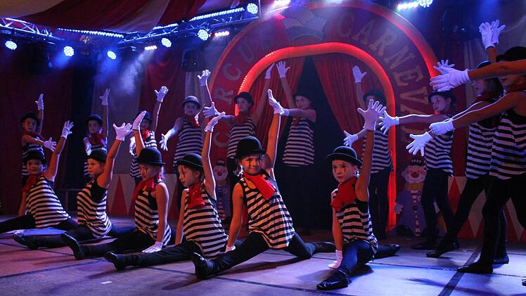 An Gardenachwuchs mangelt es beim KCV nicht: die "Meekids".