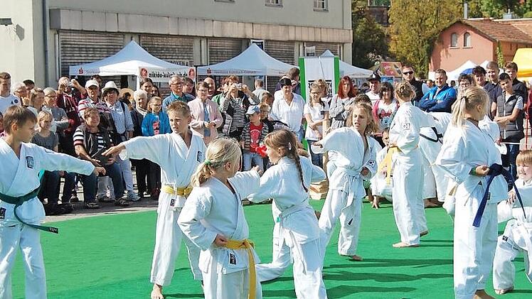 Die Kampfsportvorführungen - hier Karate - waren ein großer Publikumsmagnet beim Family-Fun-Festival. Fotos: Uschi Prawitz