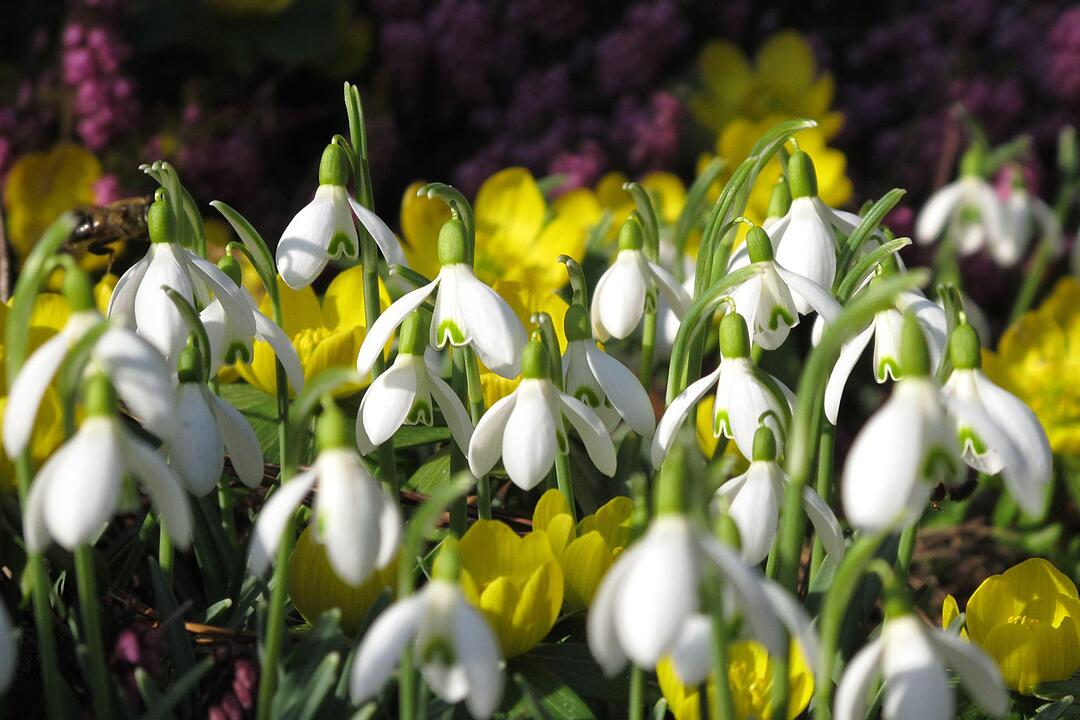 Fotos Konrad Thomann