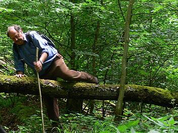 Winfried Potrykus 2008 bei einer Wanderung im Steigerwald.  Foto: Wehner