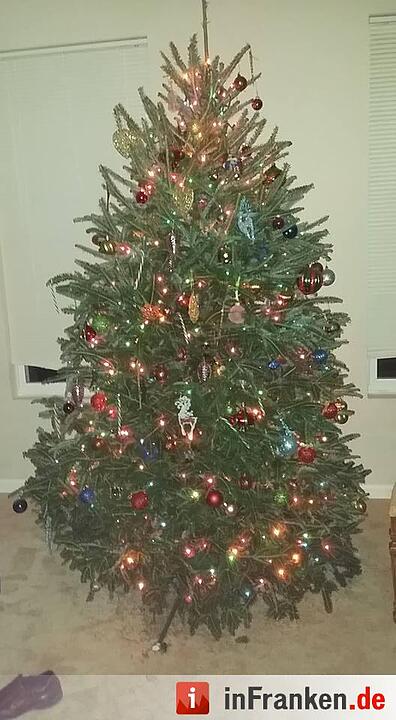 Weihnachten in Franken: Die Christbäume unserer Leser