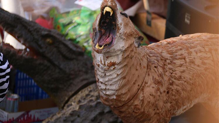 Faschingszug Schwärzelbach  Foto: Gerd Schaar