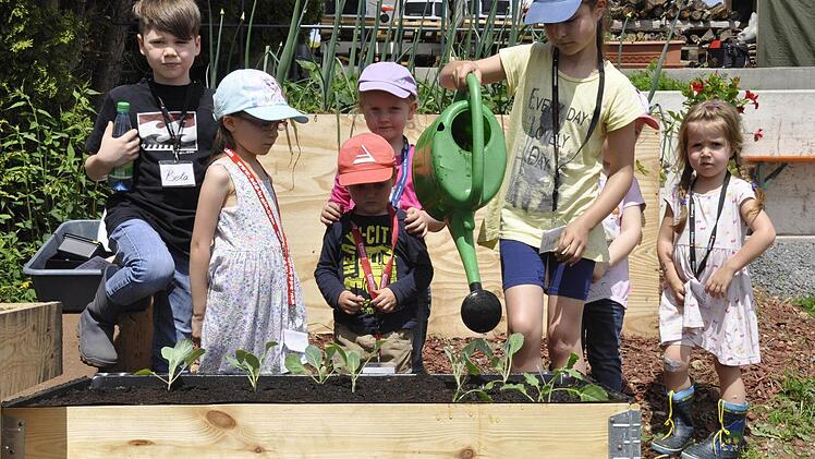 Auch das Angießen der Kohlrabi will gelernt sein. Nicht nur die Kinder haben Durst. Foto: Peter Klopf