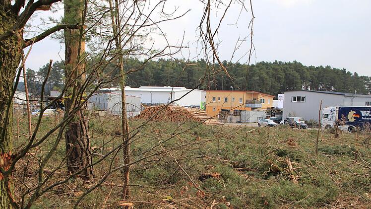Auf dieser frisch abgeholzten Fläche wird das Röttenbacher Gewerbegebiet Sandfeld erweitert. Am Rand bleiben einige Solitärbäume stehen.  Foto: Andreas Dorsch