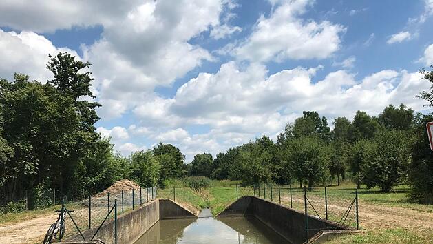Das Wasser im Sendelbach ist sauber. Trotzdem wurden in diesem  Sandfang rund 100 tote Fische angetrieben.  M. Wehner
