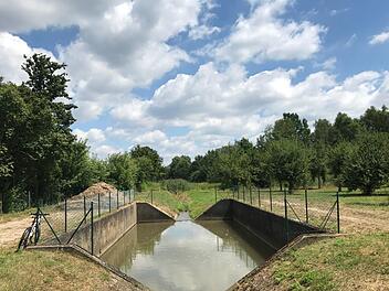 Das Wasser im Sendelbach ist sauber. Trotzdem wurden in diesem  Sandfang rund 100 tote Fische angetrieben.  M. Wehner