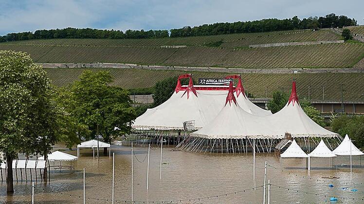 Die Talavera-Wiesen in Würzburg sind überschwemmt. Fotos: Tobias Köpplinger