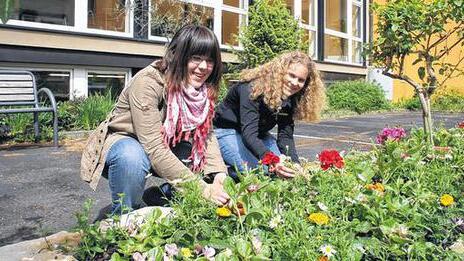 &bdquo;Green Day&ldquo; an der Berufsschule