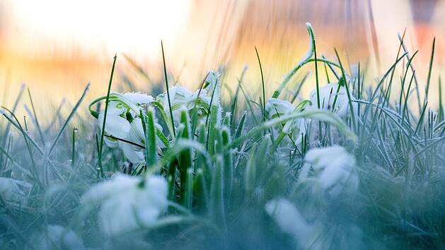 Winterwetter in Bayern und Franken: Neue Woche zeigt sich teils frostig