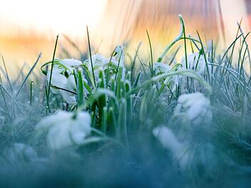 Winterwetter in Bayern und Franken: Neue Woche zeigt sich teils frostig