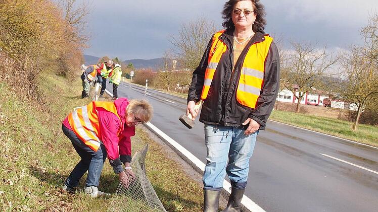 : Adele Betz und Hildegard Mährlein mit anderen Helfern beim Aufbau des Krötenzaunes bei Westheim