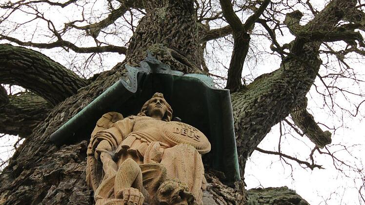 Das Alter der Bildeiche in Albertshausen wird unterschiedlich geschätzt von 380 auf bis zu 700 Jahre.  Foto: Benedikt Borst