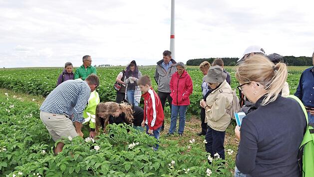 Sind die Kartoffelknollen schon gro&szlig; genug zum Ernten?  Fotos: Anna-Katharina Paar