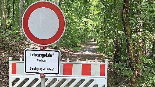 Die Stadt Bad Kissingen hat den Promenadeweg wegen Windwurfs aus Sicherheitsgründen gesperrt.