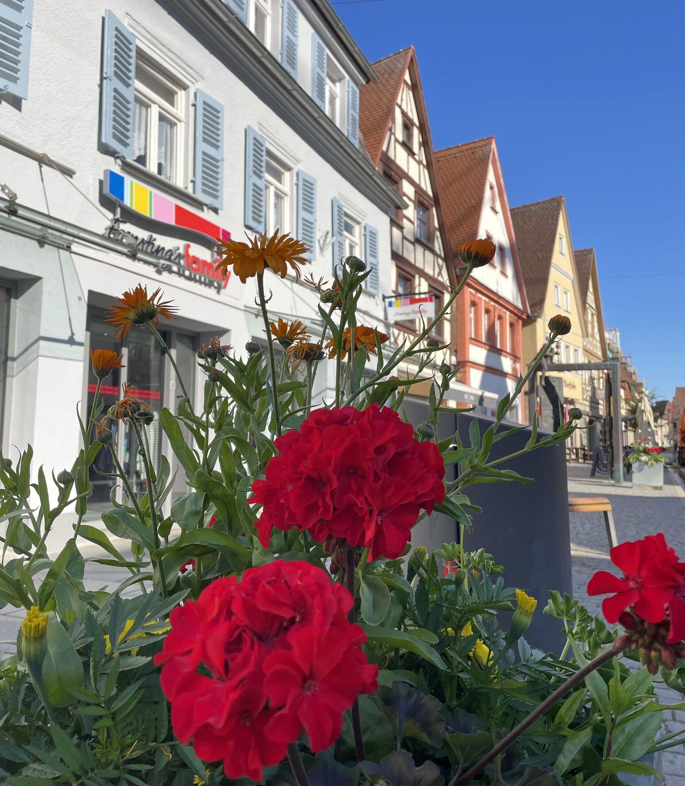 Forchheim: Lange Einkaufsnacht zu Afrika-Kulturtagen - Geschäfte bis 22 ...