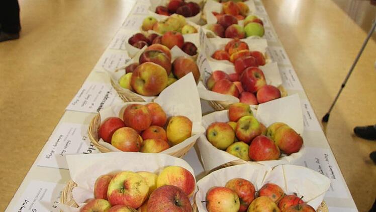 Über 100 verschiedene Apfelsorten waren beim Apfelfest zu sehen.