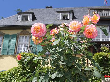 Das Heinersreuther Schloss bl&uuml;hte auf. Herrliches Sommerwetter lud Gartenfreunde aus nah und fern zum Bummeln und Verweilen ein. Foto: Sonny Adam