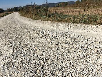 So präsentiert sich der Radweg zwischen Hallstadt und Gundelsheim.Foto: Anette Schreiber