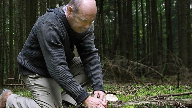 "Sehr mühsam" war die Suche heuer für Pilz-Sammler (hier Kurt Schwarz). Für Steinpilz & Co. war es während der Sommerwochen zu trocken. Foto: Carmen Schmitt