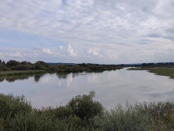 Muhr am See, Wandern, Wanderungen, Spazieren, Wanderstrecke