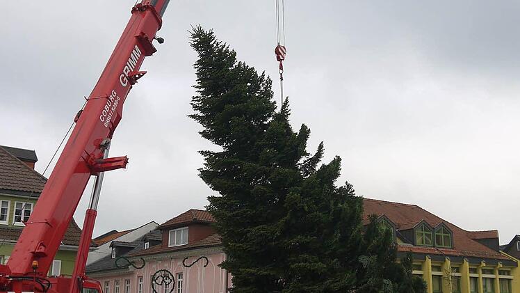 Aufstellung des Neustadter Weihnachtsbaumes Foto: Berthold Köhler