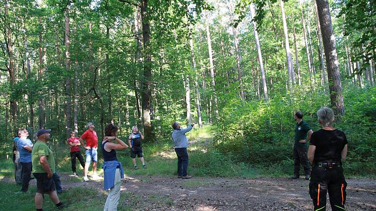WBV-Vorsitzender und Waldbesitzer Bernhard Roppelt zeigt den Teilnehmern die Erfolge des Waldumbaus in seinem Wald bei Schnaid. Foto: Mathias Erlwein