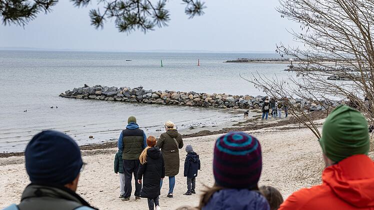 Wal an der Ostseek&uuml;ste gestrandet