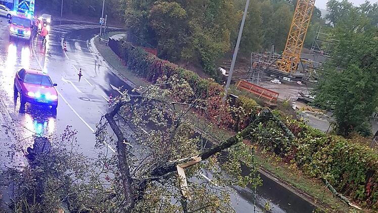 In Münnerstadt stürzte während des Sturms am Sonntagabend ein Baum auf die Umgehungsstraße. Foto: Feuerwehr Münnerstadt