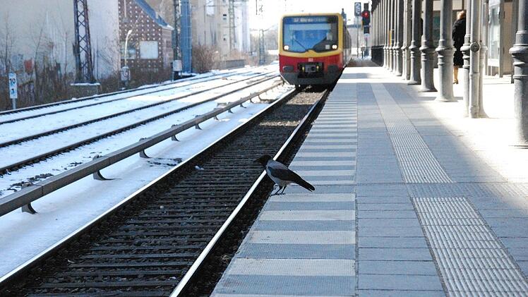 In Berlin wurde am Montagmorgen eine Leiche am S-Bahnhof Rahnsdorf entdeckt. Symbolbild: pixabay.com/Kikos