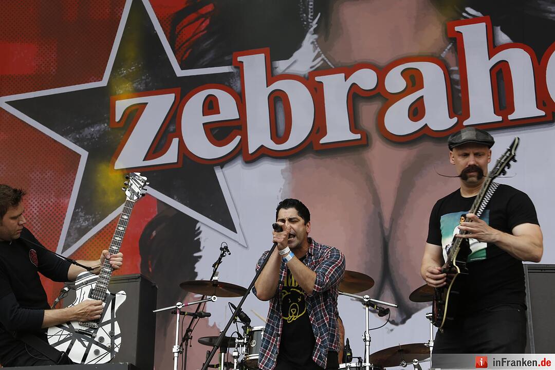 RIP15 - Zebrahead