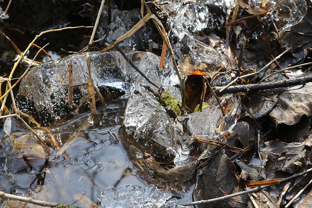 Frühling in Franken: Das Leben erwacht