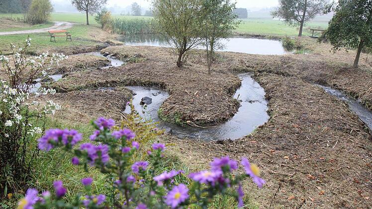 Der neue Fischpass in Mühlendorf ist Teil der Flurbereinigung im Wasserschutzgebiet entlang der Aurach. Fotos: Michael Gründel