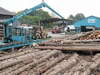 Ein Markenzeichen im Ortsteil Welsberg der Gemeinde Itzgrund wird bald verschwunden sein. Das Sägewerk schließt im Januar 2017 aus Alters- und wirtschaftlichen Gründen für immer.  Foto: Michael Stelzner