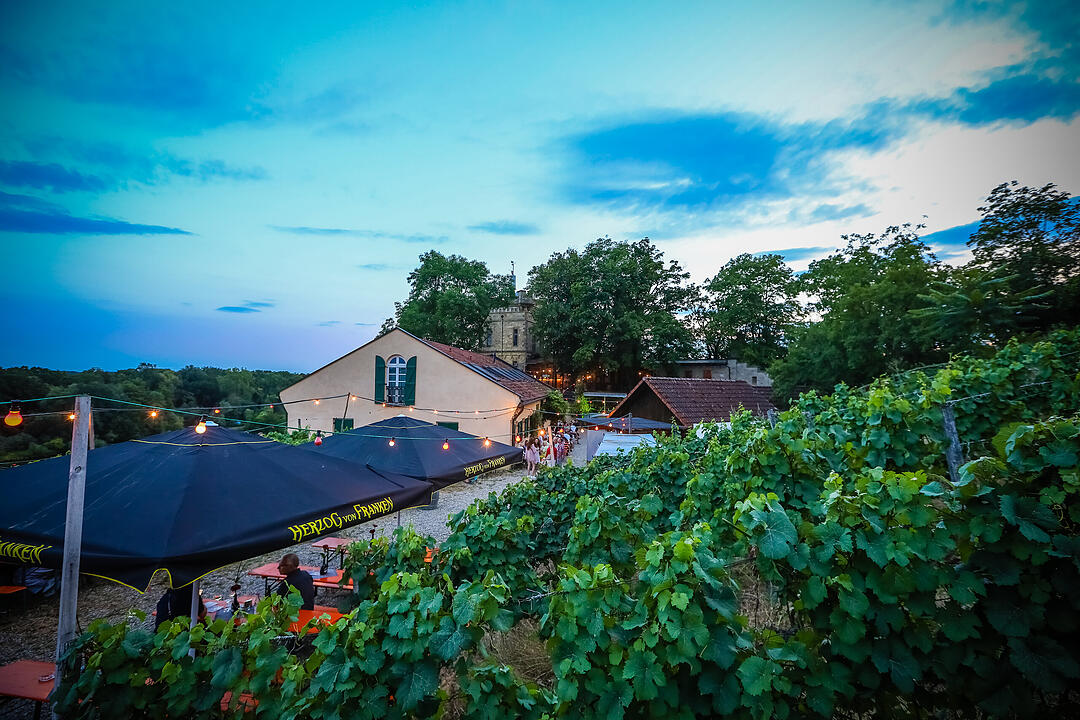 Das Kultweinfest vom Familienweingut Dahms.