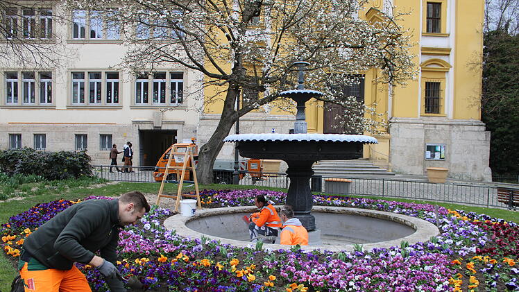 Kitzingen: G&auml;rtner lassen Kitzingen erbl&uuml;hen - und geben wertvolle Tipps f&uuml;r den heimischen Garten