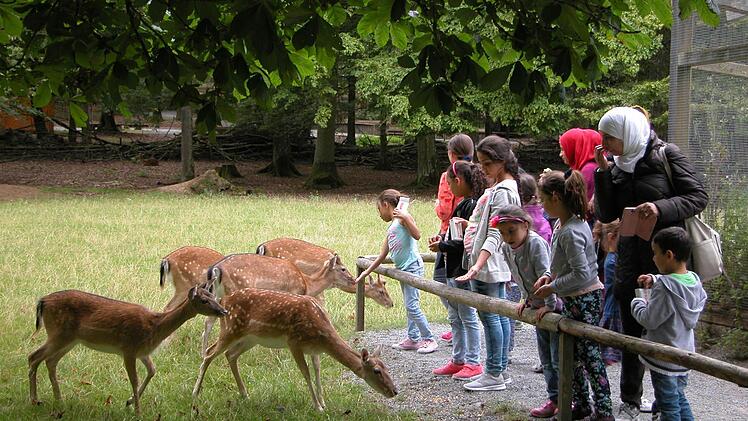 Begegnung mit fremden Tieren: Fl&uuml;chtlingskinder besuchten den Wildpark Klaushof. Fotos: Karin Reinshagen