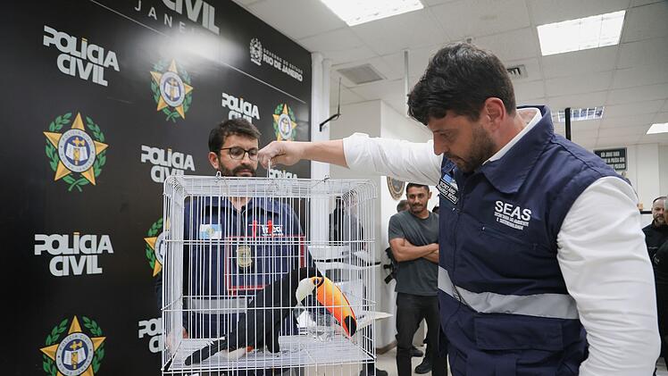 Großer Schlag gegen den illegalen Tierhandel in Brasilien