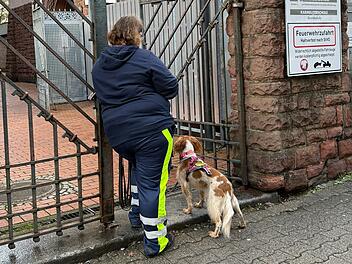 Suche nach achtj&auml;hrigem Jungen in Frankfurt