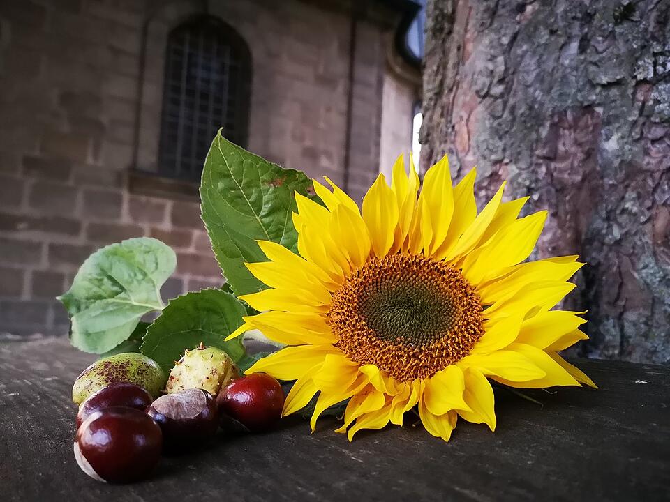 Die schönsten Herbstfotos aus Bayreuth und Umgebung