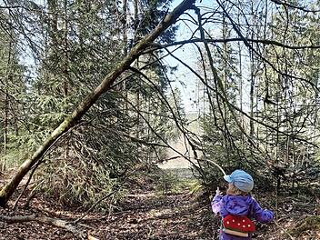 Der "neue Gruppenraum" im Wald bei Lauenhain. Foto: Franziska Hetz
