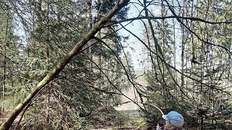 Der "neue Gruppenraum" im Wald bei Lauenhain. Foto: Franziska Hetz