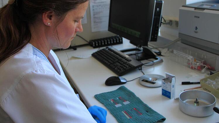 Die auf Glas präparierten Folienstreifen werden unter dem Mikroskop ausgewertet; so der Luftpollengehalt bestimmt.