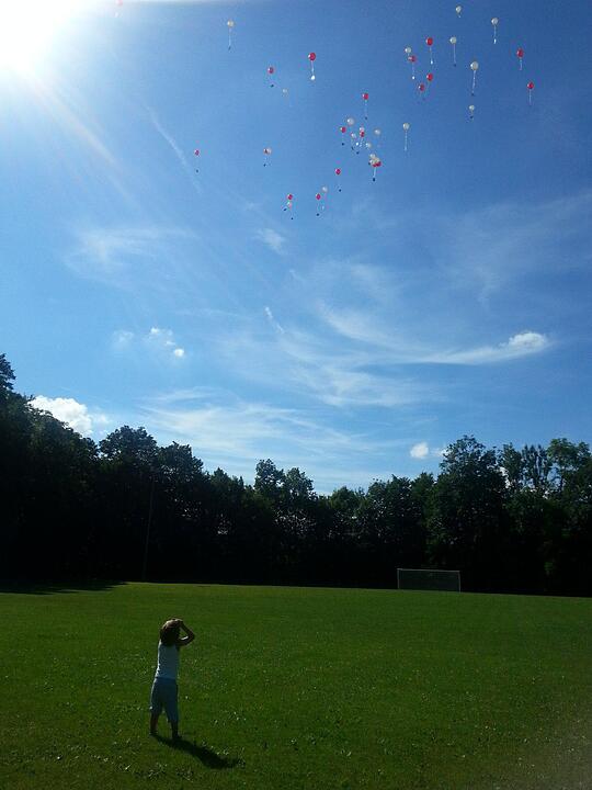 Das war der Sommer 2015 in Franken