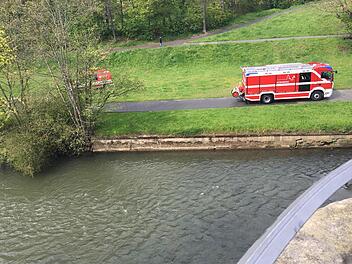 Foto: NEWS5 / Grundmann