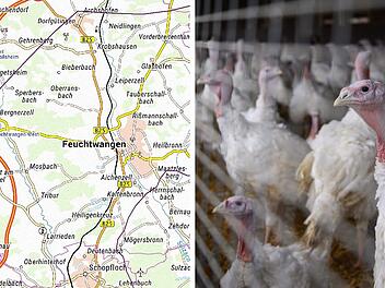 Bestätigter Vogelgrippe-Fall  in Feuchtwangen: 30.000 Tiere getötet und Schutzzonen ausgewiesen
