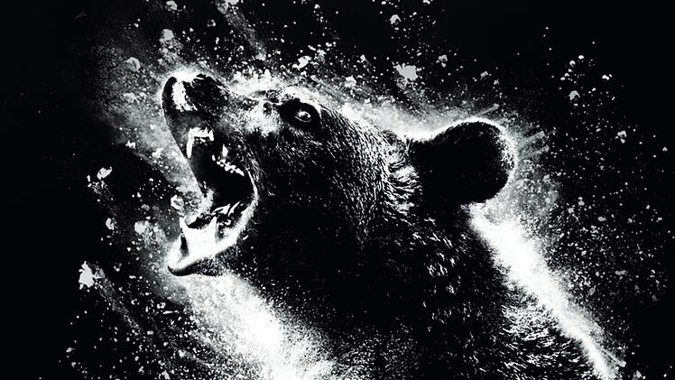 "Cocaine Bear" erz&auml;hlt von einem B&auml;ren, der im Koks-Rausch zur blutr&uuml;nstigen Bestie wird.