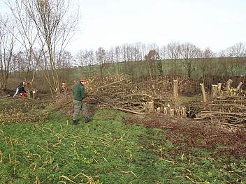 Johannes Seuberth schichtet bei der Heckenpflege in Hallerndorf das Astwerk auf. Foto: Mathias Erlwein