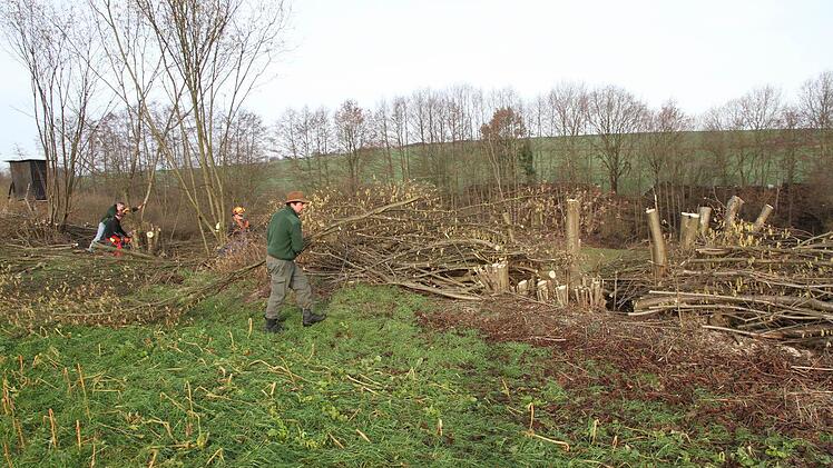 Johannes Seuberth schichtet bei der Heckenpflege in Hallerndorf das Astwerk auf. Foto: Mathias Erlwein