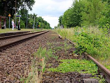 Der Mann war vermutlich an den Bahngleisen spazieren gegangen und hatte den von hinten herannahenden Zug überhört. Symbolbild: Foto: Peter Gercke/dpa