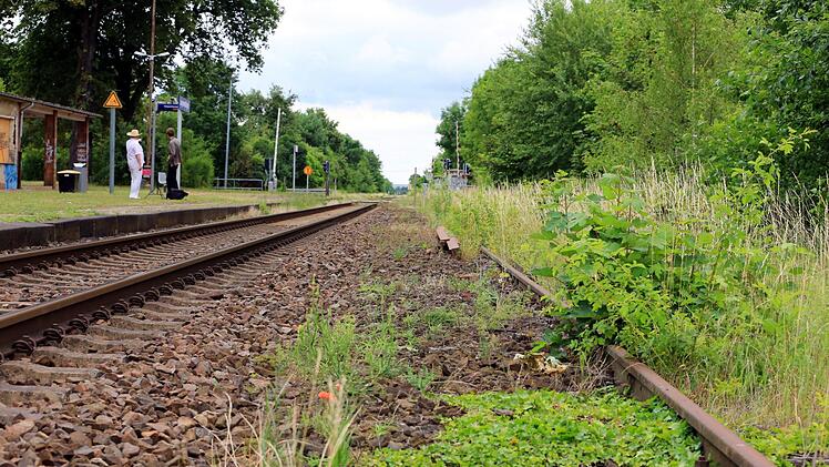 Der Mann war vermutlich an den Bahngleisen spazieren gegangen und hatte den von hinten herannahenden Zug überhört. Symbolbild: Foto: Peter Gercke/dpa
